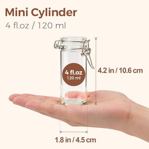 Small Glass Spice Jars with Airtight Lids 4 oz 12 Pack with Labels (4 fl oz x 12)