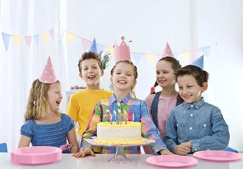 Sturdy Pink Plastic Plates 10" Party Plates 100 Pcs (10 inch / Pink)
