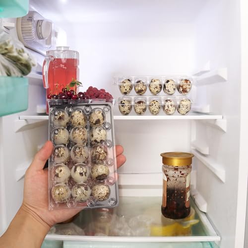 200 Pack Quail Egg Cartons (15 Grids)