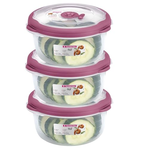 3.1 Cup Plastic Bowls Food Storage Container With Lid For Leftovers