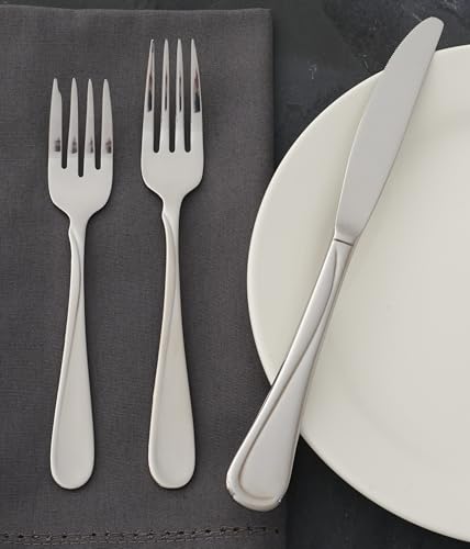 Flight Dinner Knives Silverware Set for 4 (Dinner Knives, Set of 4)