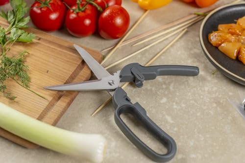 Pro Kitchen Shears Plus (Pro Kitchen Shears Plus)