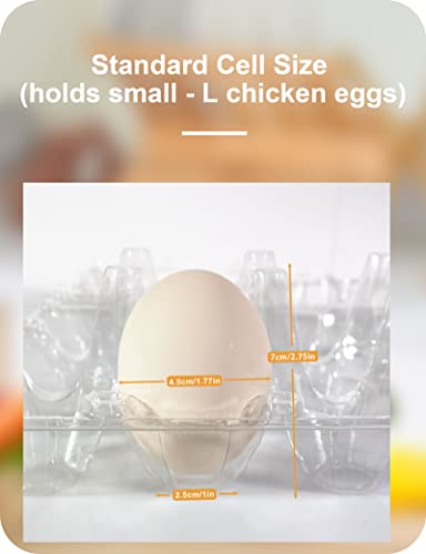 50 Pack Egg Cartons Cheap Bulk 12 Count (Medium-50PK-12CT)