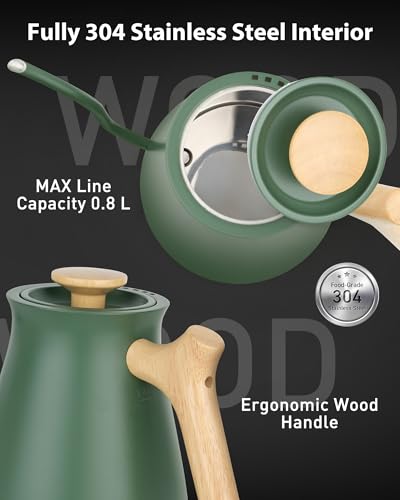 Gooseneck Electric Kettle (Green / 0.8 Quarts)