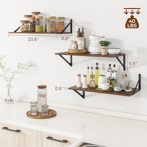24W x 12D Deep Floating Shelves Set of 3 Walnut (Walnut With Black Metal Bracket / 24wx12dx5.8h)