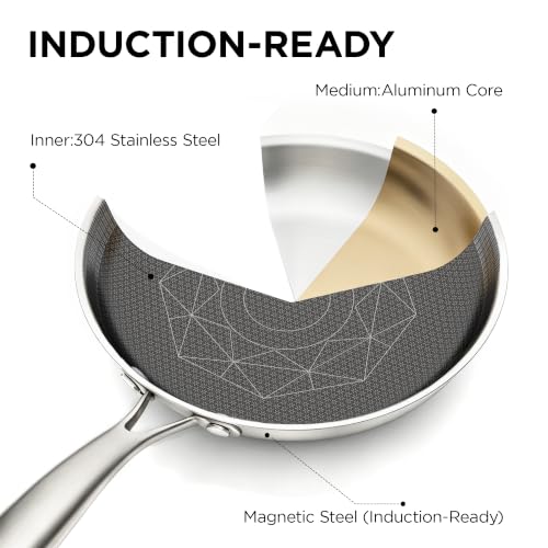 12 Inch Stainless Steel Pan (Silver / 12 Inch)