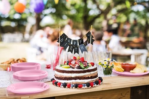 Sturdy Pink Plastic Plates 10" Party Plates 100 Pcs (10 inch / Pink)