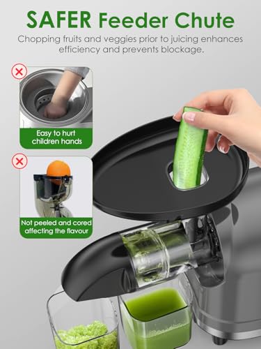 Masticating Juicer Machine 200W Slow Cold Press Extractor for Veggie (Grey)