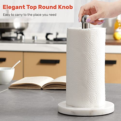Heavy Weighted Paper Towel Holder