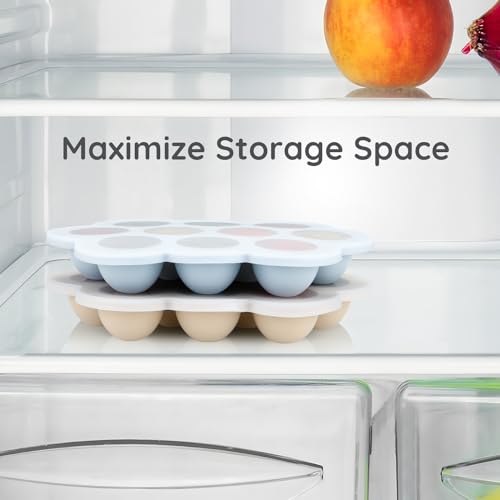2 Pack Baby Food Freezer Tray with Lids
