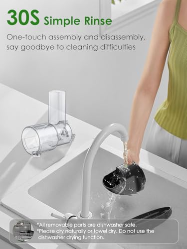 Masticating Juicer Machine 200W Slow Cold Press Extractor for Veggie (Grey)