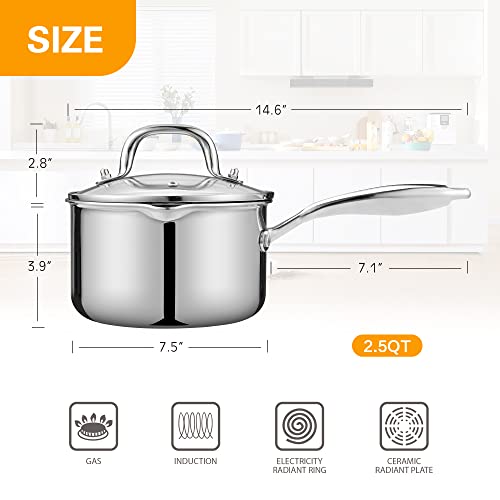 2.5 Quart Saucepan with Lid (2.5 Quarts)