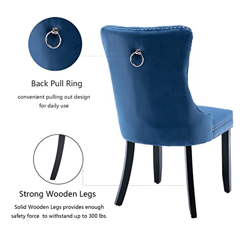 Blue Velvet Dining Chairs Set of 6 (Blue)