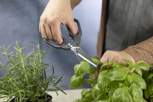 Kitchen Shears Compact (Classic)