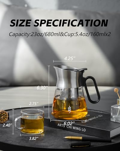 Glass Teapot with Infuser with 2 Cups for Loose Tea Steeper (23 oz (2 Cups))
