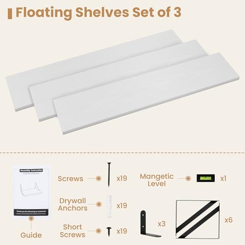 Floating Book Shelves for Wall