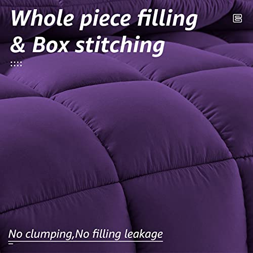 All Season Queen Size Bed Comforter (Purple / Queen（88*88）)