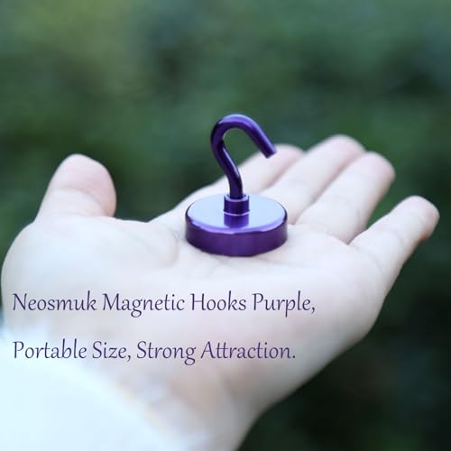 Magnetic Hooks (10 Count)