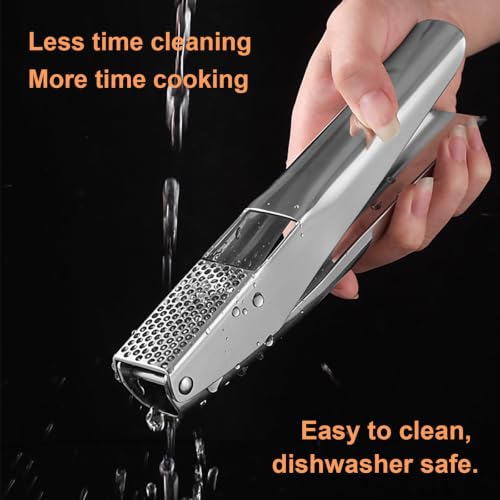 Stainless Steel Garlic Press