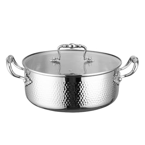Stainless Steel Stock Pot with Visible Lid for Pasta (5.6 Quarts)