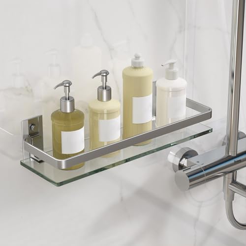 Clear Tempered Glass Wall Shelf (Silver / Single Shelf)
