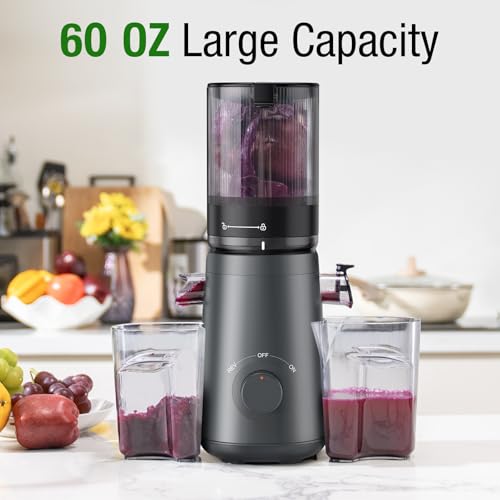 Cold Press Juicer Machine (Grey)