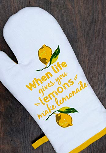 Oven Mitts Set of 1 Quilted Liner with Hanging Loop Non Slip (7x13 inches / Citrus Splash)