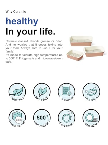 Ceramic Casserole Dishes for Oven with 304 Racks