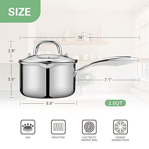 2.0 Quart Stainless Steel Pot Saucepan with Glass Strainer Lid