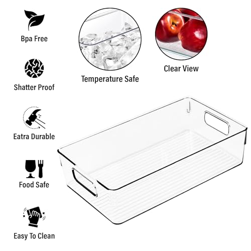 Large Clear Plastic Storage Bins (12.8 X 9.7 X 3.5)