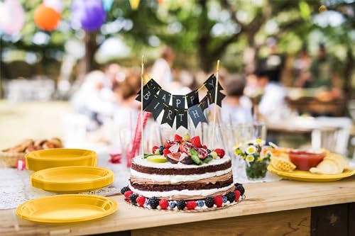 Sturdy Yellow Plastic Plates 9" Party Plates 100 Pcs (9 inch / Yellow)