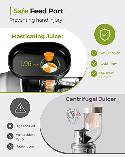 Slow Masticating Juicer with 2
