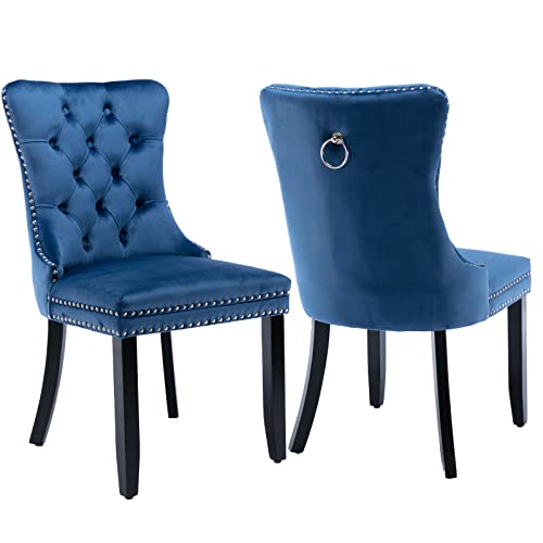 Blue Velvet Dining Chairs Set of 2 (Blue)