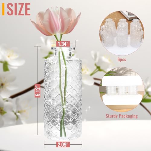 Bud Vase Flower Bottle (White(transparent) / Small Vase(6 Pcs))