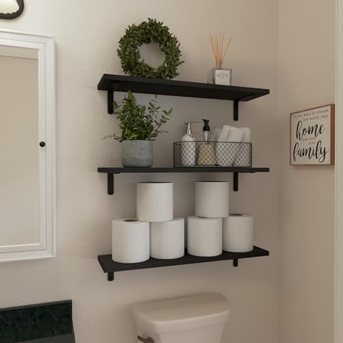 24'' Long Floating Shelves for Wall Decor & Storage (24 Inch / Black)