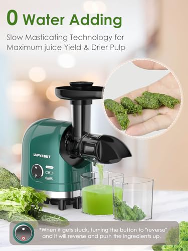 Cold Press Juicer Machine Slow Masticating Extractor for Celery Wheatgrass Spinach Ginger Cucumber Kale (Green)