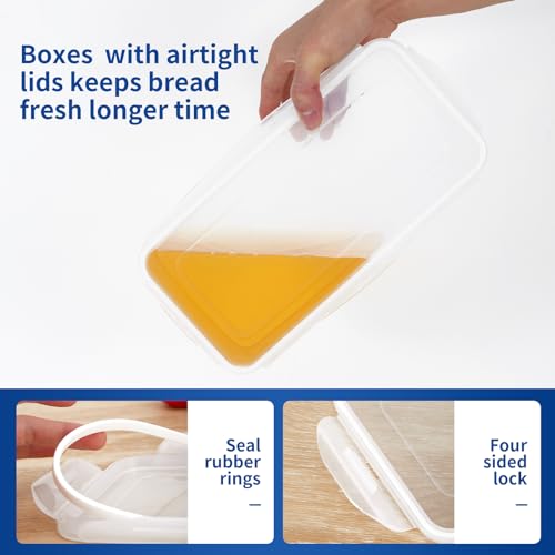 2 Bread Box with Airtight Lids (MBH1-2)