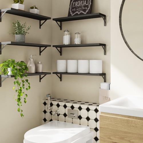 23.6in Floating Shelves for Wall Home Decor (Black / 23.6 x 6.1 x 0.59 inches)