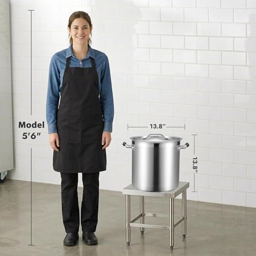 32 Quart Heavy Duty Stock Pot with Lid (32 Quarts)