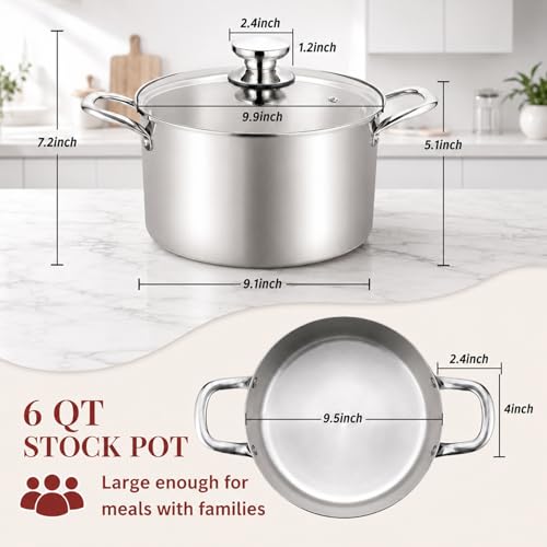 6 Quart Stock Pot (6 Quarts)