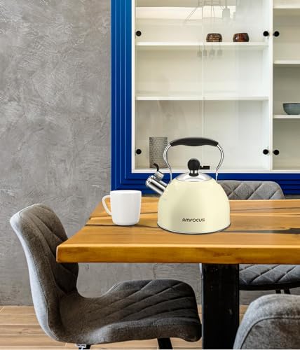 Tea Kettle 2 Quart Stainless Steel Whistling Tea Kettle (White)