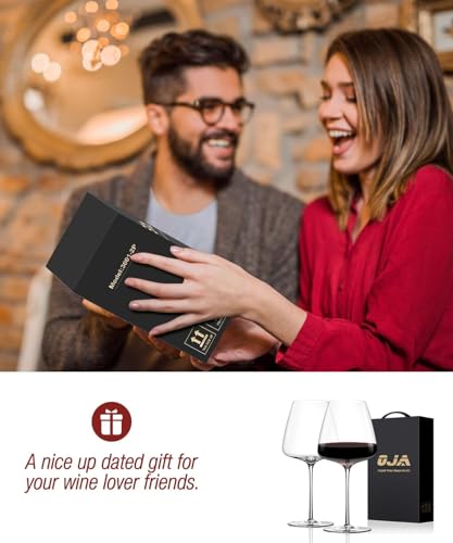 Wine Glasses Set (Set of 2-23oz)