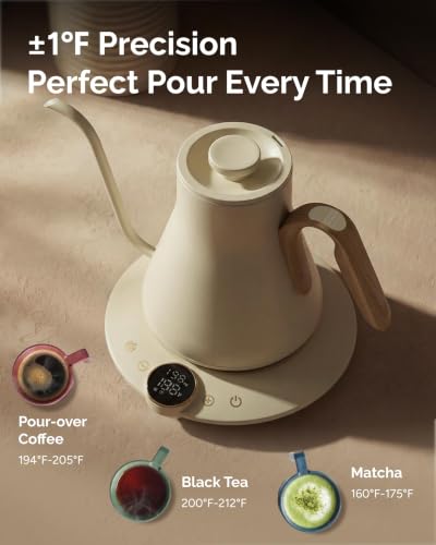Gooseneck Electric Kettle (Morandi White)
