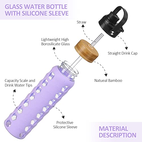 Glass Water Bottle (Purple / 32 Ounces)