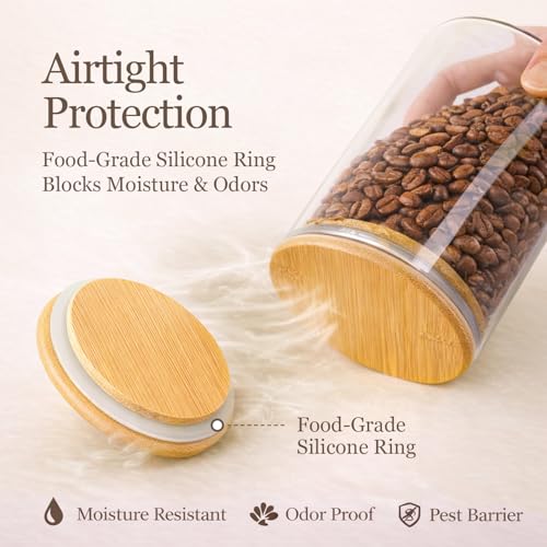Glass Storage Containers with Lids (0.6 Qt x 2 / 1 Qt x 2 / 1.5 Qt x 2)