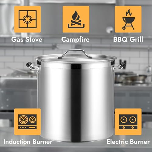 50 Quart Heavy Duty Stock Pot with Lid (50 Quarts)