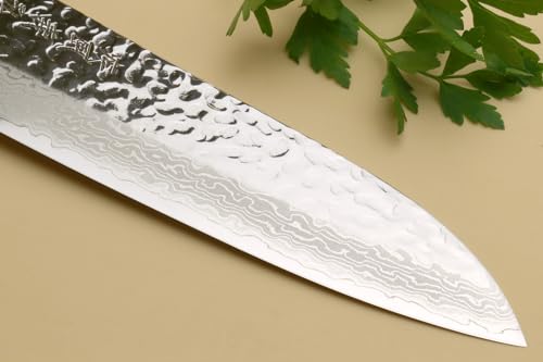 VG10 46 Layers Hammered Damascus Santoku Japanese Multipurpose Chef Knife (7" / Silver)