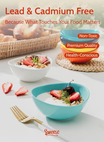 10 oz Small Porcelain Bowls (6 Count)