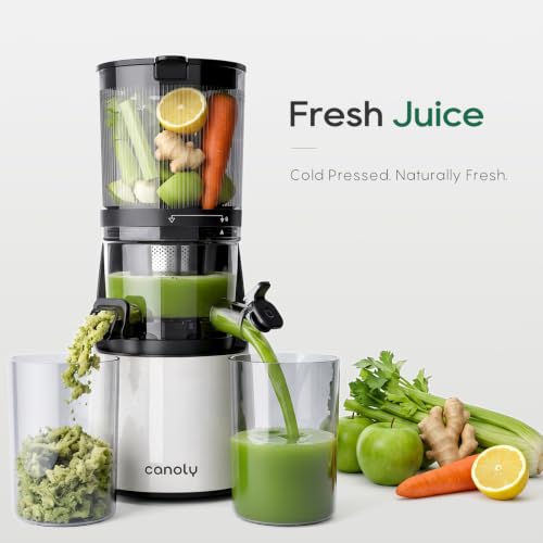 3-in-1 Cold Press Juicer C16, Makes Juice & Sorbet & Nut Milk (Pearl White)