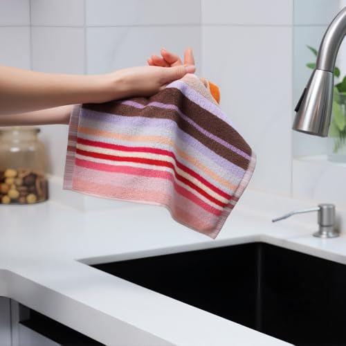 Dish Cloths for Washing Dishes (Wide Stirpe / 12x12 inch)